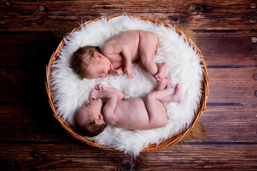 008. New Born Lleida